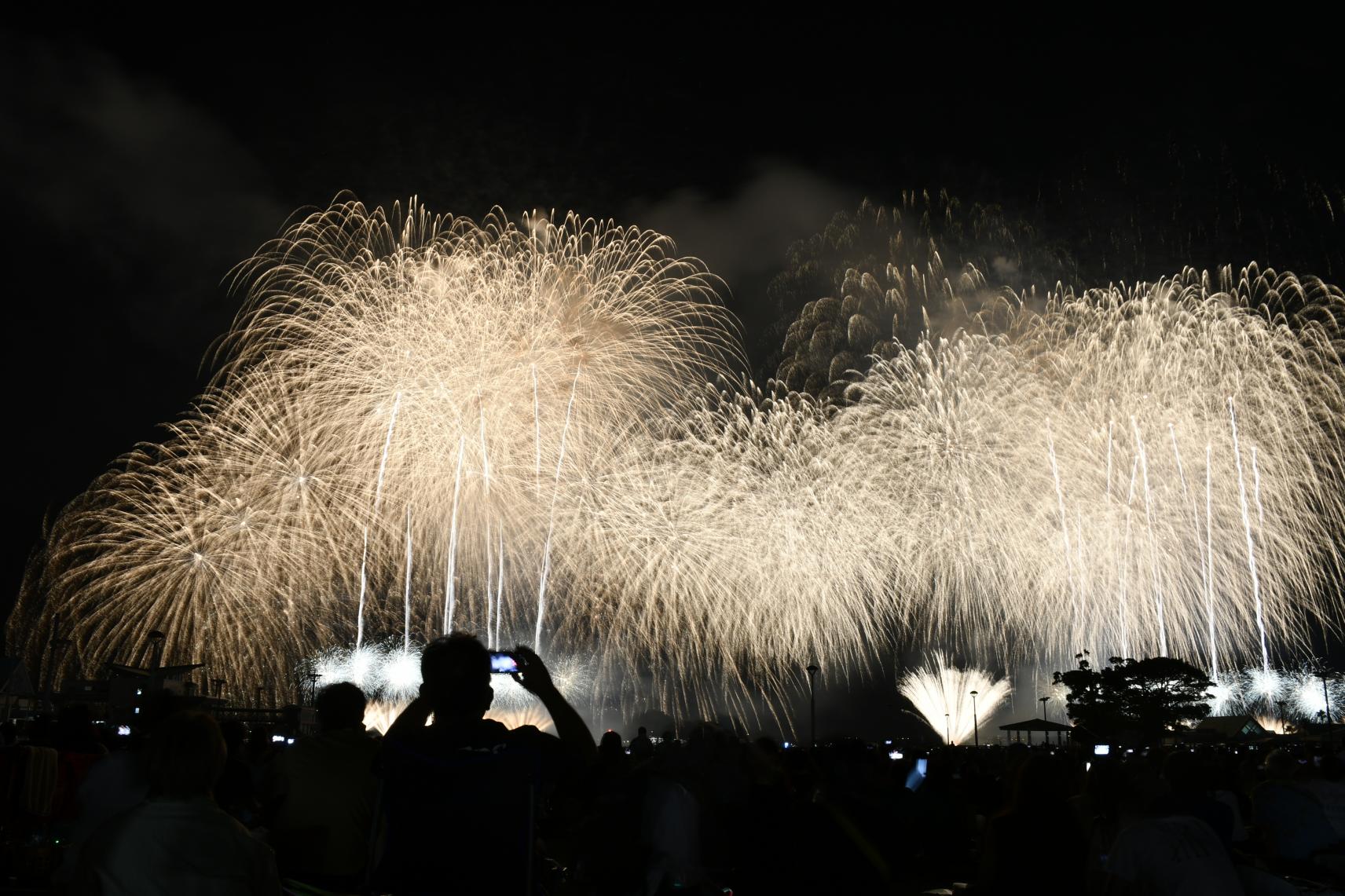 今年の「かごしま錦江湾サマーナイト大花火大会」は？-4