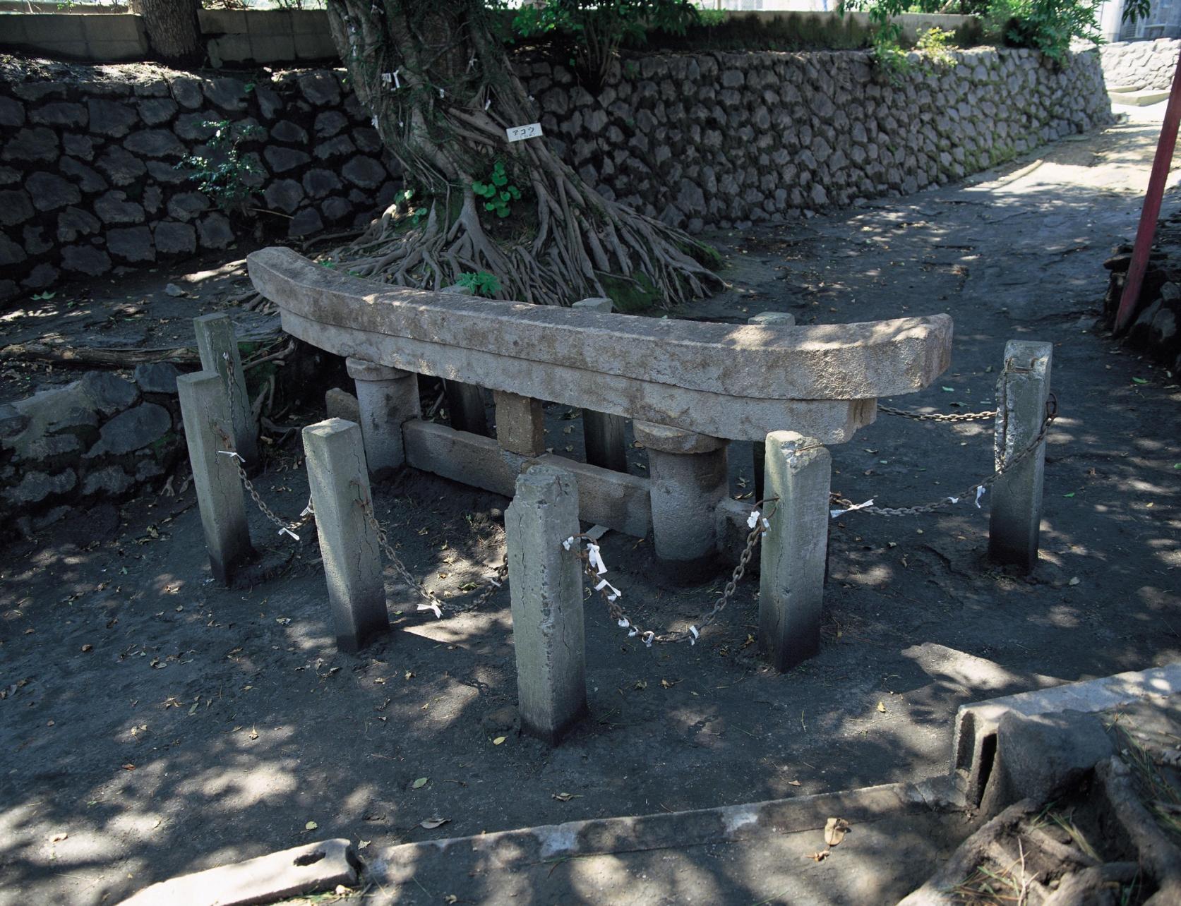 鹿児島のシンボル「桜島」の観光情報、完全攻略マニュアル！-2