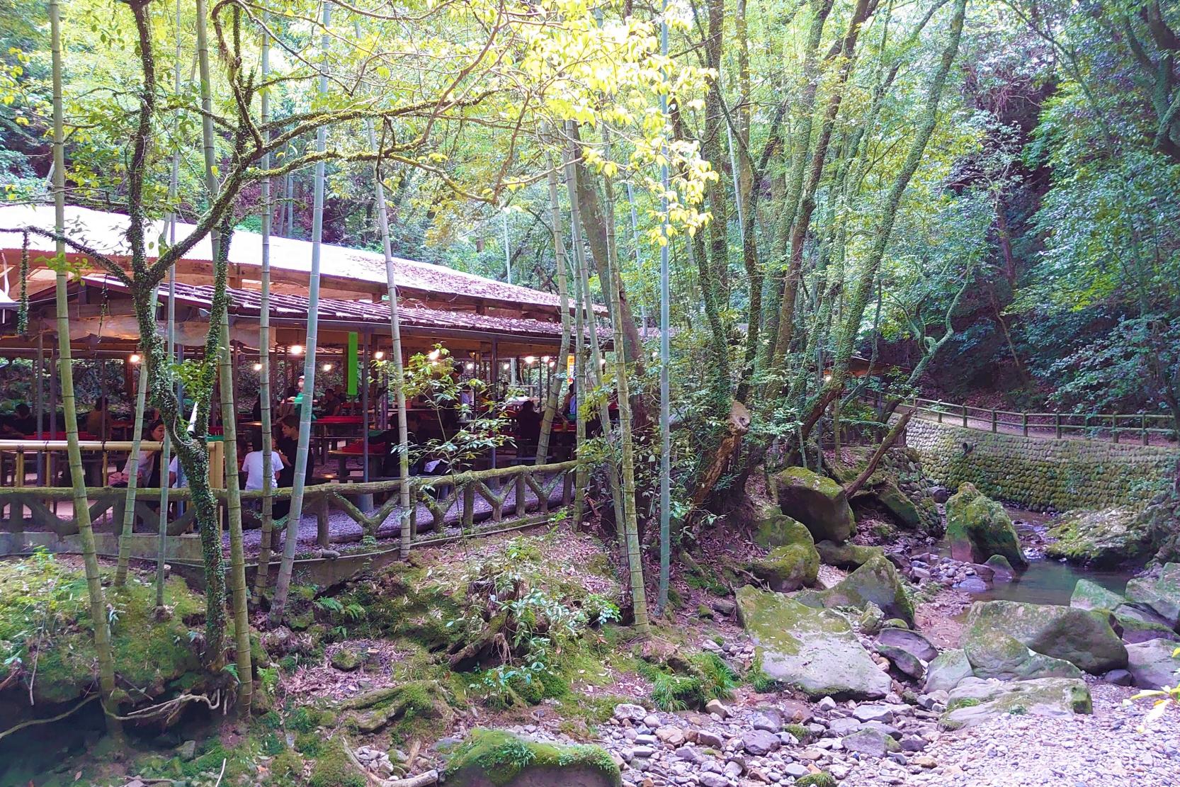 緑豊かな公園の「慈眼寺そうめん流し」に舌鼓-2