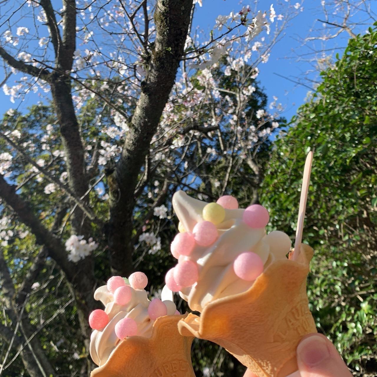 Sweet soy sauce soft serve ice cream at Shiroyama Seasoning-1