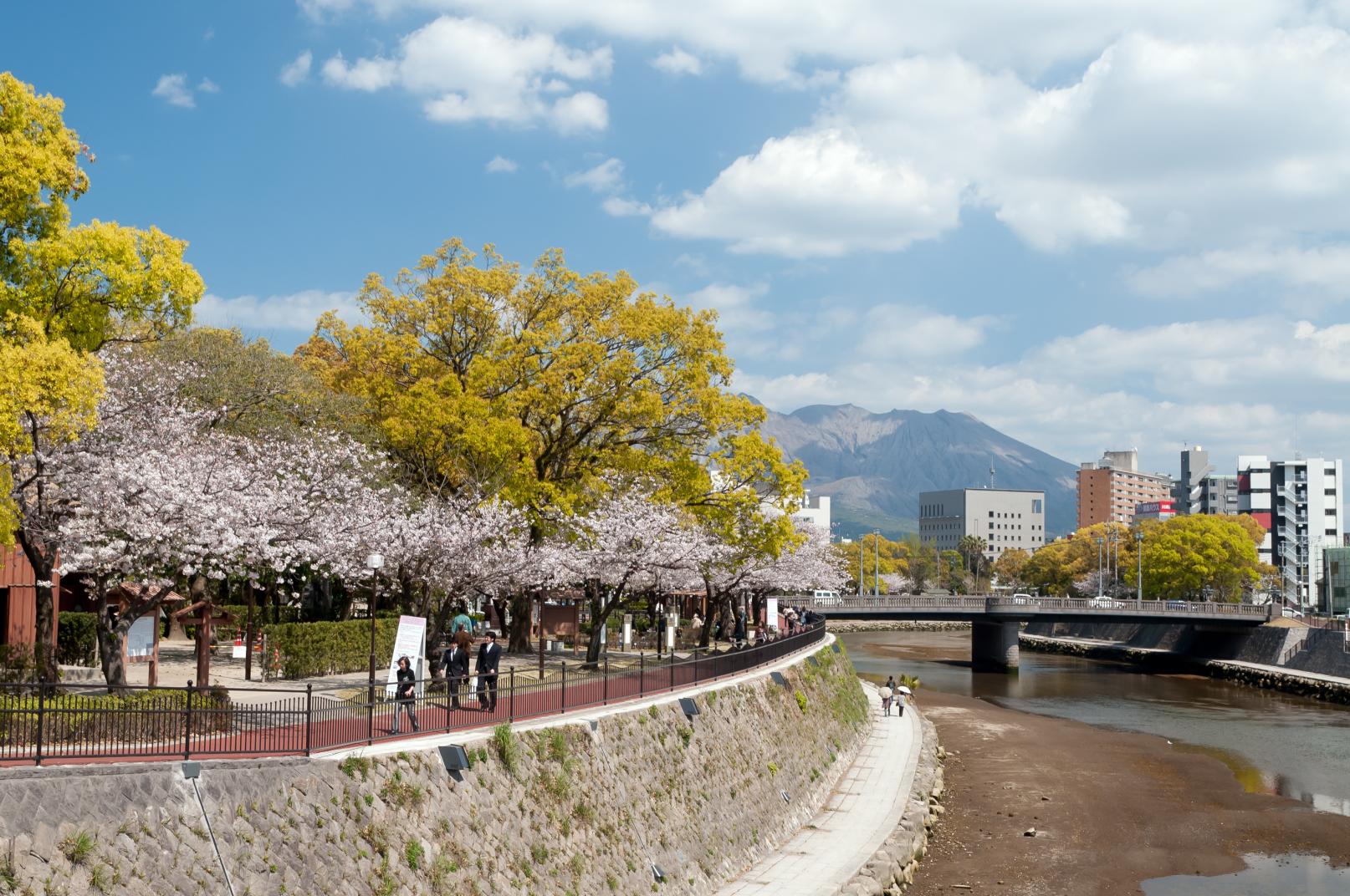 「甲突川」河畔の桜並木をのんびり歩く-0