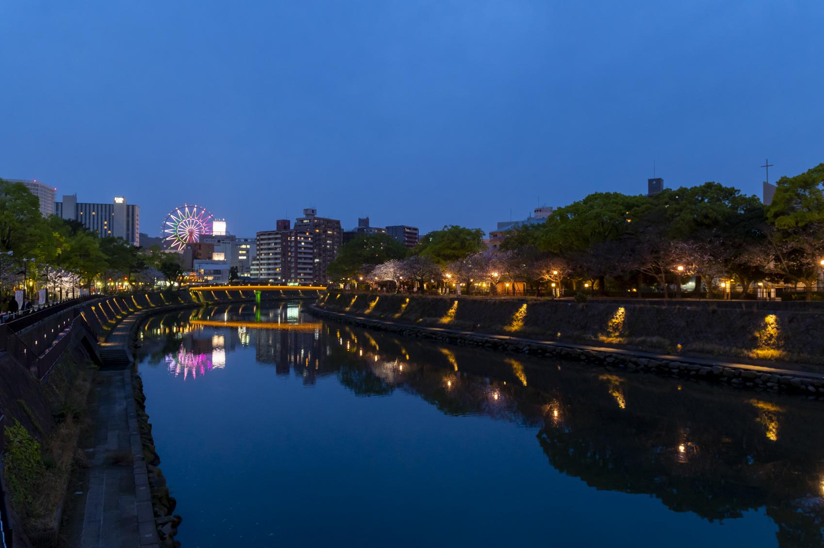 Take a Leisurely Stroll Along the Cherry Blossom-Lined Banks of the Kotsuki River-3