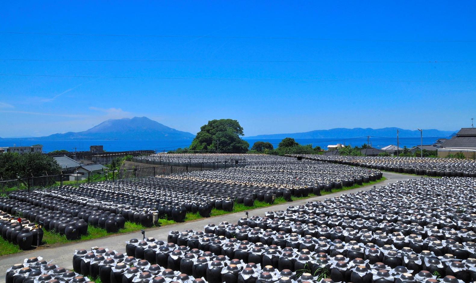 坂元醸造　黒酢ラボラトリー（鹿児島県霧島市）-1