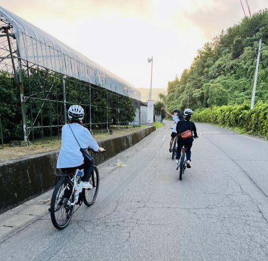 Sakurajima Morning Hill Climb by E-Bike-2