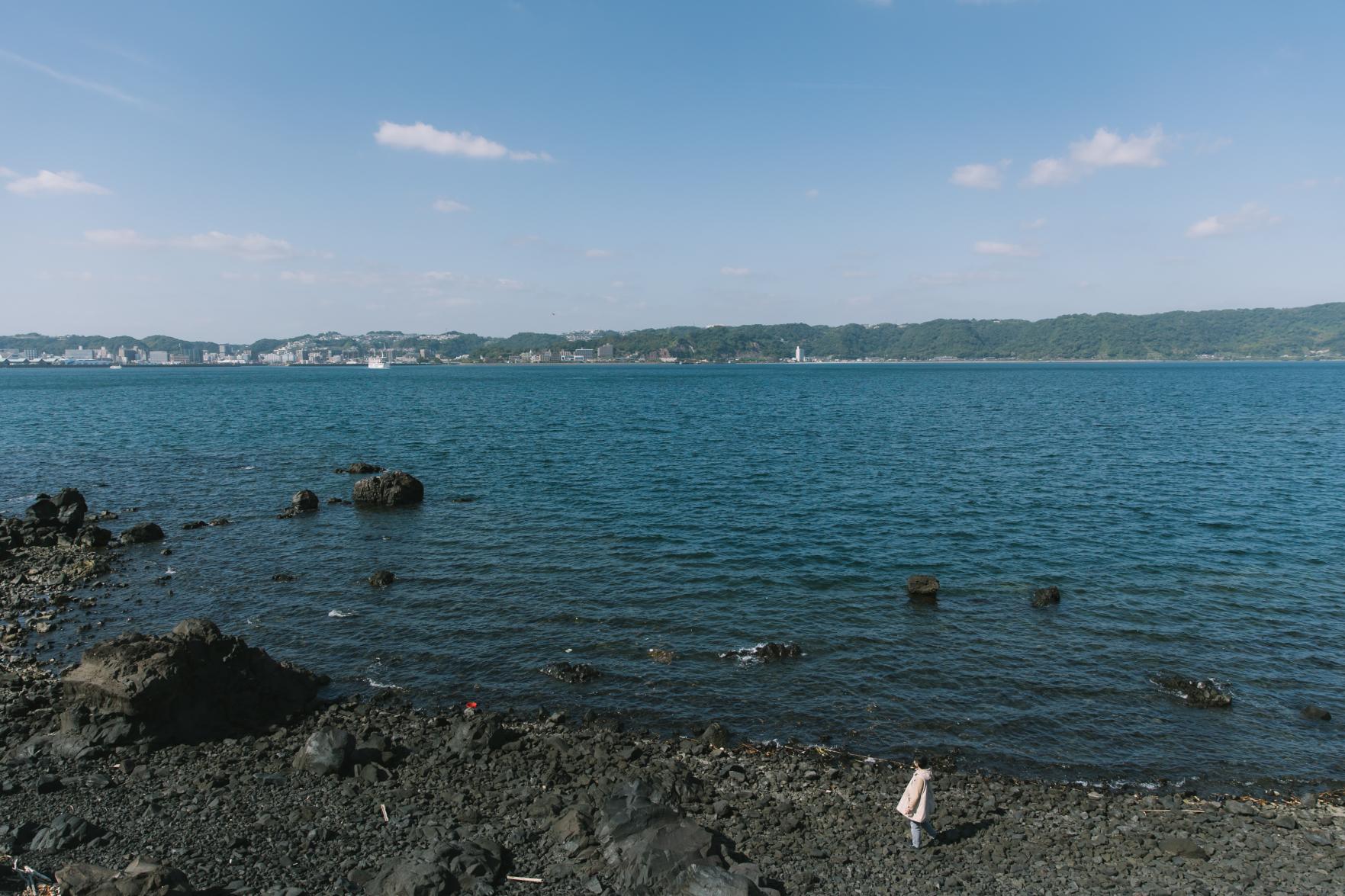 桜島ミュージアム＋桜島サイクリングツアー　桜島一周まるごと探検！-5