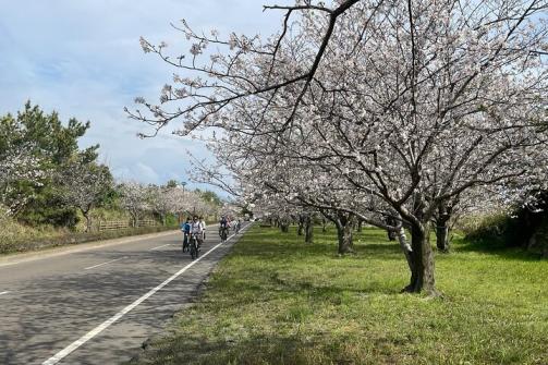 桜島ミュージアム＋桜島サイクリングツアー　桜島一周まるごと探検！-0