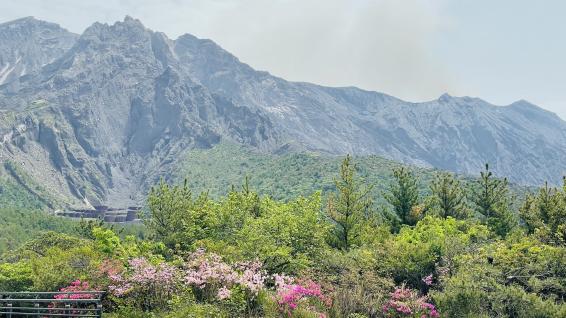 桜島ミュージアム＋桜島サイクリングツアー 大正溶岩周遊ライド-3