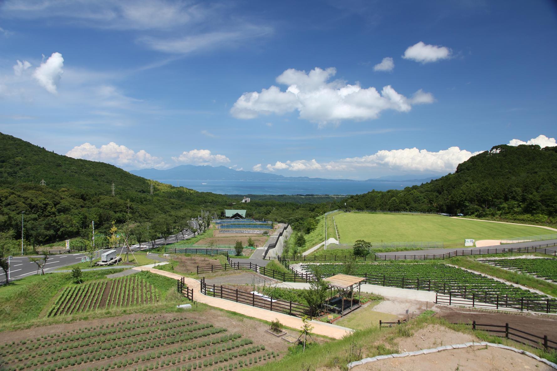 秋の里山まつり2024-1